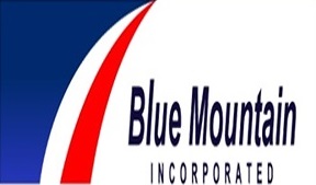 bluemountaininc.com
